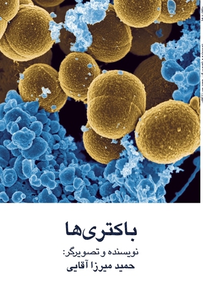 باکتری ها